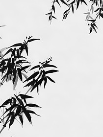 清风明月照红尘