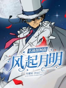 名偵探柯南：風(fēng)起月明