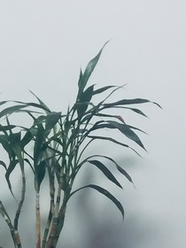 向著你走去
