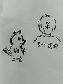 呆狗：认输