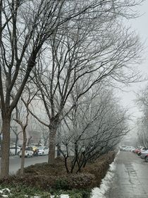 七年雪下