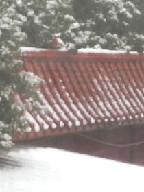 書(shū)名正在修改1707116767560319729