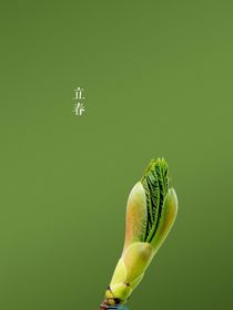 表情咩