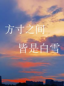 方寸之间皆是白雪