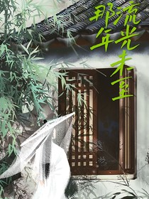 那年，流光未至