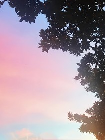 青春就像一顆青蘋果