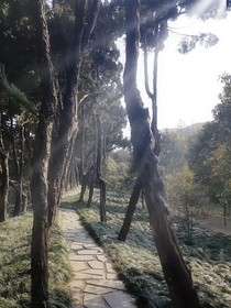 愛人死后的108天