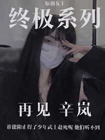 终极系列之再见辛岚