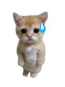 思元点