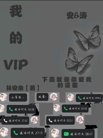 我的VIP