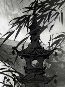 白日焉知