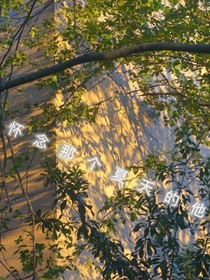 怀念那个夏天的他