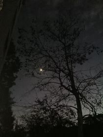 雁之塔（上）