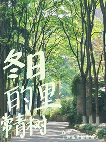 冬日里的常青树