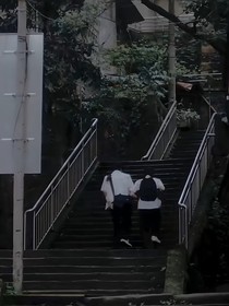 文軒：長坡樹下