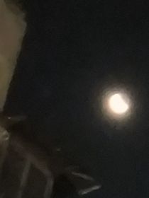 王后的日记