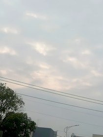 酒楼老板还在疯吗