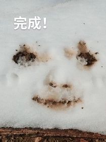 未成形的爱恋