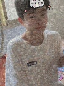纯志向阳