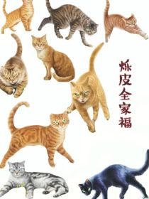 猫武士自编版（不加原著）