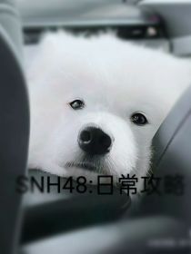 SNH48：日常攻略