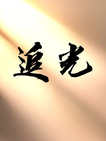 追辉
