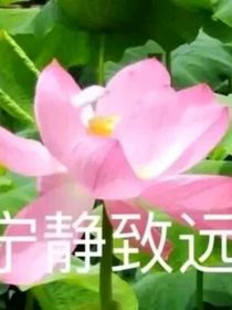 就你，站住