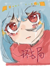 环与局