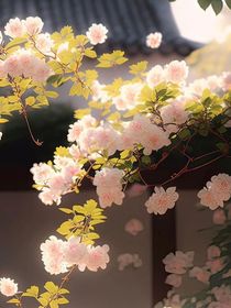 旅行手記