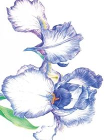 荒N发疯客栈（碰雷区你自己躲）