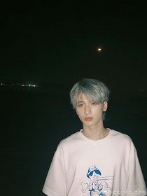 严少追妻：天价前任不好惹