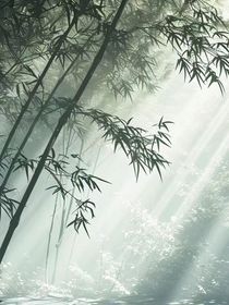 清风山上有座桥