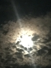他来自星星的遥远方