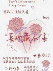 杀手中的卧底