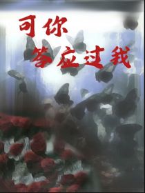 可你答应过我