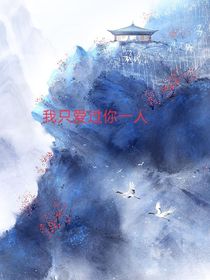 我只爱过你一人