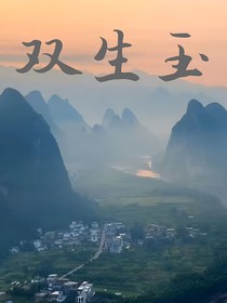 红楼之双生玉