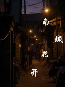 TF——南城花開
