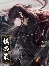 镇西策