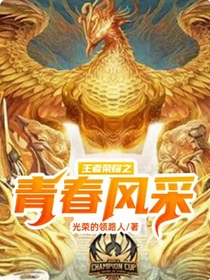 王者榮耀之青春風(fēng)采-d488