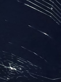 无氧爱