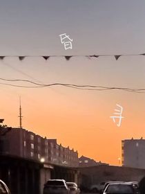 昏寻