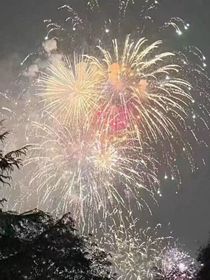喜欢你我错了