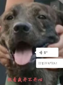 我的梦合集