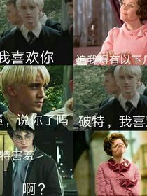德哈之回首（重生文）（每一张最后都有小问题记得评论区积极）