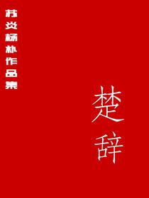 苏炎楚辞全集