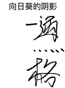 向日葵的阴影（你猜）-d141