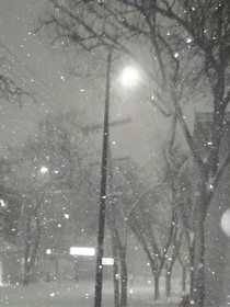 奥特曼之平行漫步
