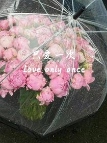 只爱一次啊