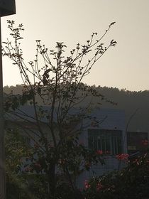 以末的春